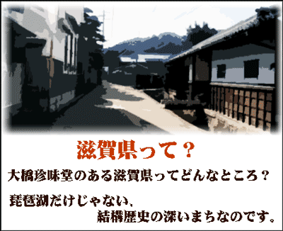 滋賀県ってどんなところ?琵琶湖だけじゃない、歴史の深いまちなのです。